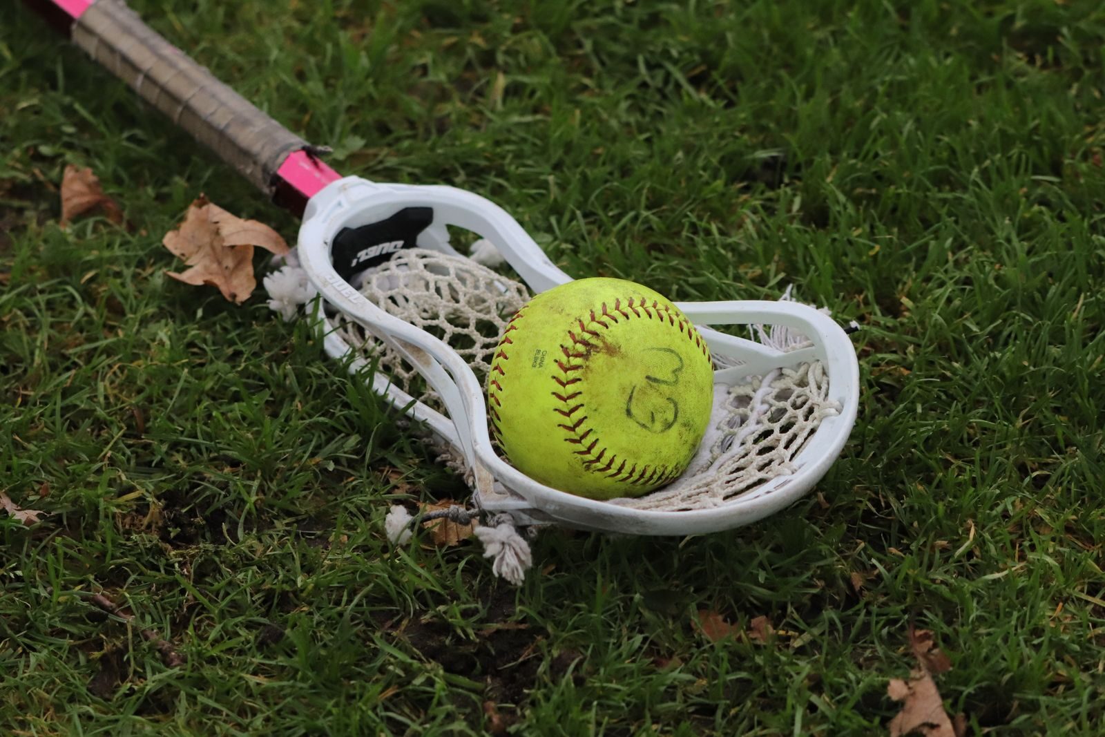 A softball nestled in a lacrosse stick lying on green grass, highlighting sports crossover.